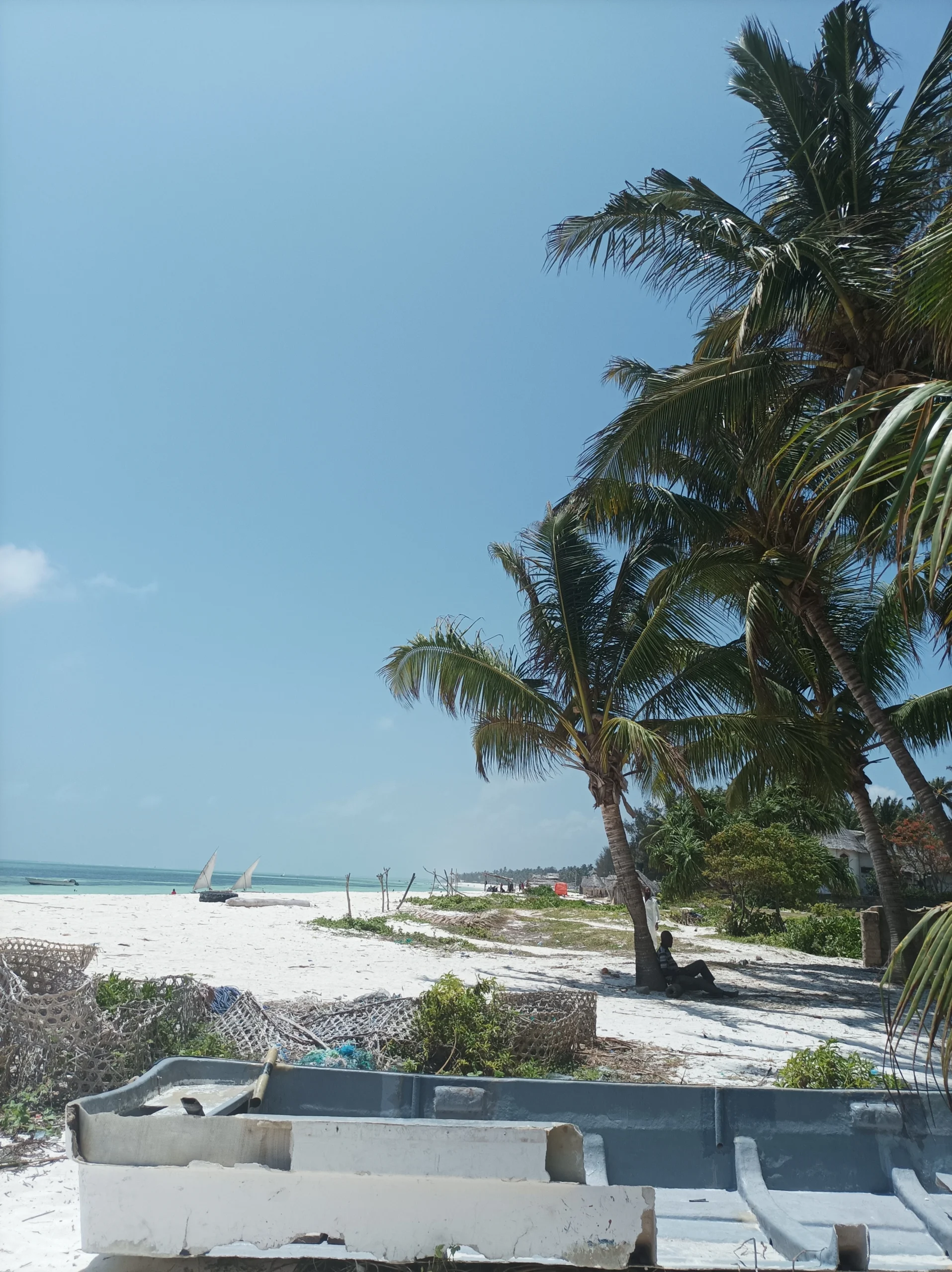Palm-lined white sand beach in Zanzibar, a highlight of Zanzibar solo female travel